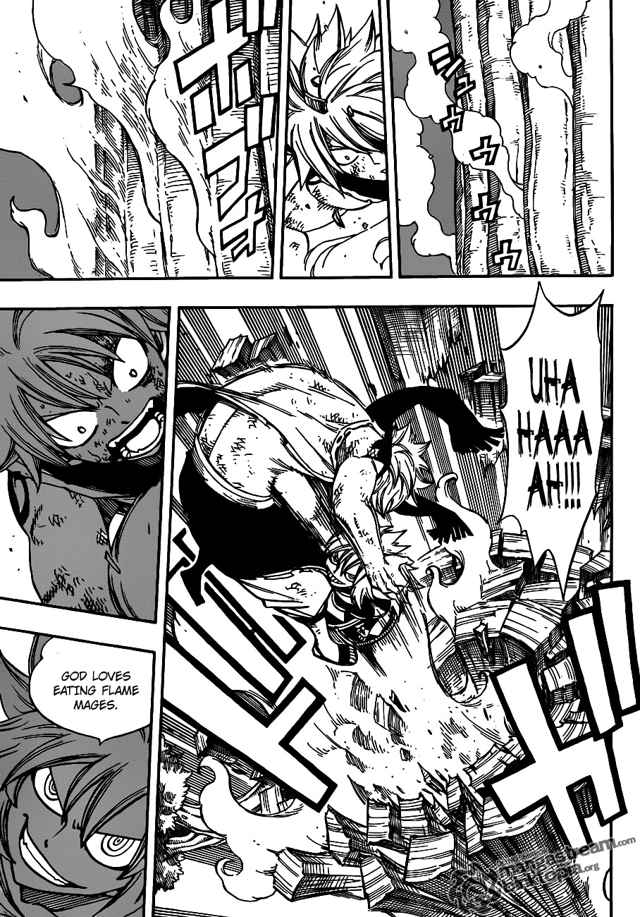 Fairy Tail Chapter 219 10